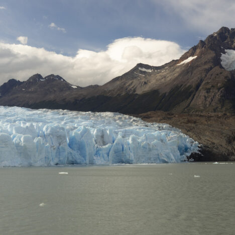 Die Insel der Magelanpinguine